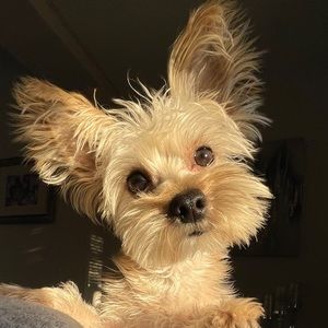 Meet your Posher, Alexander